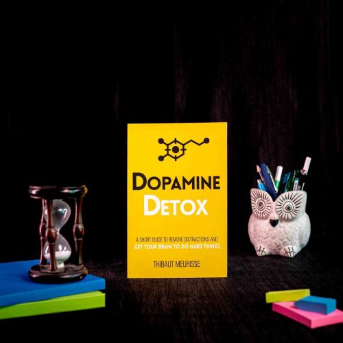 Buy Dopamine Detox by Thibaut Meurisse Online - Bookbins.in